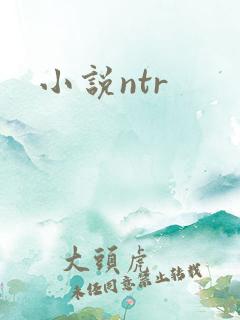 小说ntr