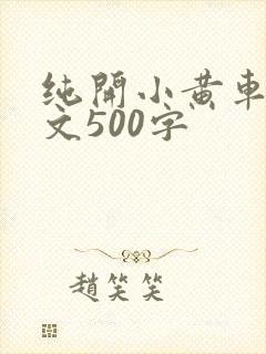 纯开小黄车小短文500字