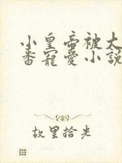 小皇帝被大臣轮番宠爱小说