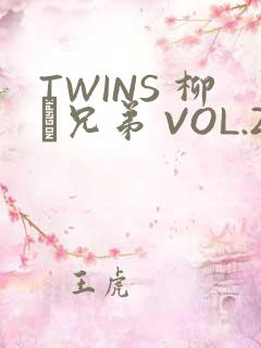 TWINS 柳澤兄弟 VOL.2