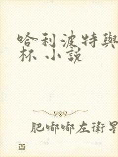 哈利波特与火焰杯 小说