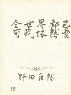 全世界都已剧终可我依然爱你