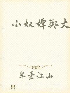 小奴婢与大少爷