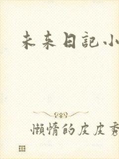未来日记小说