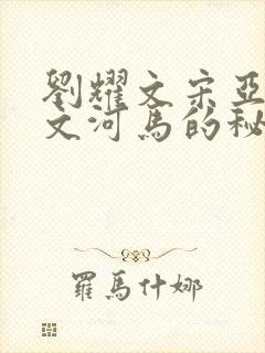 刘耀文宋亚轩车文河马的秘密河润滑油