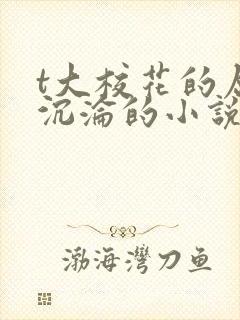 t大校花的屈辱沉沦的小说