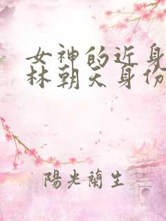 女神的近身护卫林朝天身份