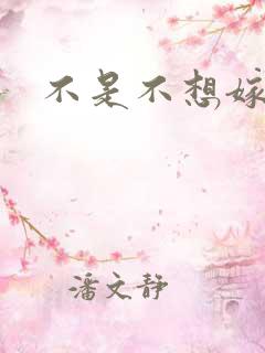 不是不想嫁全集
