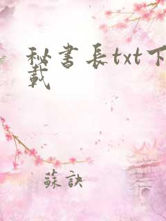 秘书长txt下载