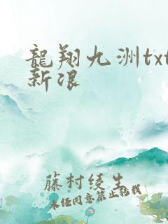 龙翔九洲txt新浪