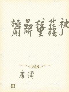 极品校花被拉到厕所里强J