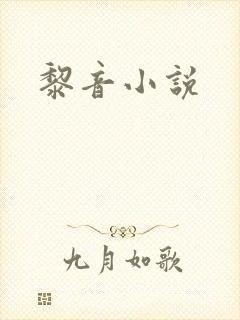 黎音小说