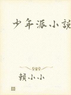 少年派小说