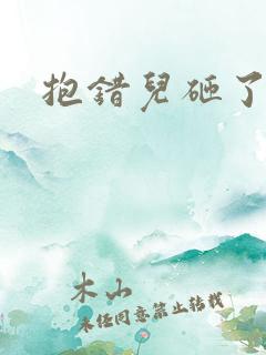 抱错儿砸了