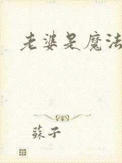 老婆是魔法少女