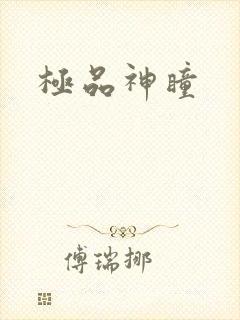 极品神瞳