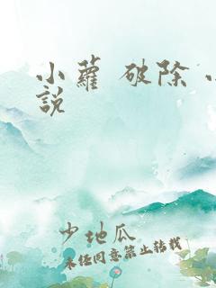 小萝 破除 小说
