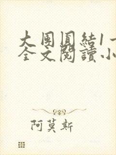 大团圆结1一6全文阅读小说