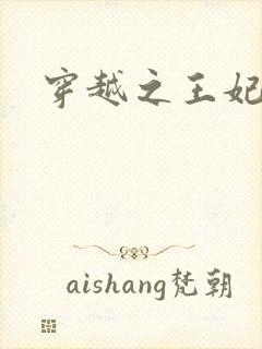 穿越之王妃有孕