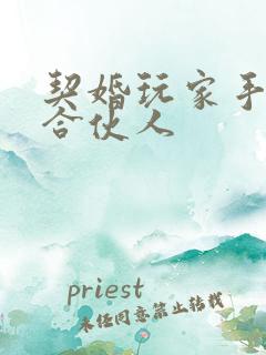 契婚玩家手册之合伙人