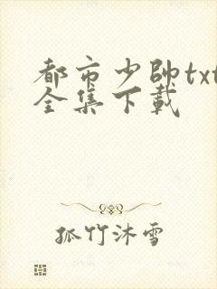 都市少帅txt全集下载