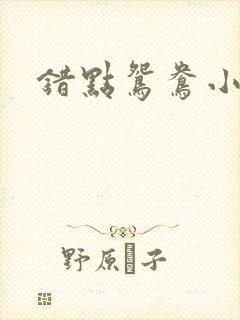 错点鸳鸯小说