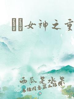 鹡鸰女神之重生