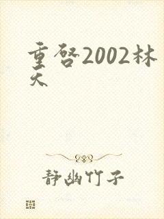 重启2002林天