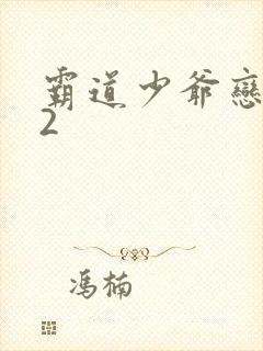 霸道少爷恋上我2