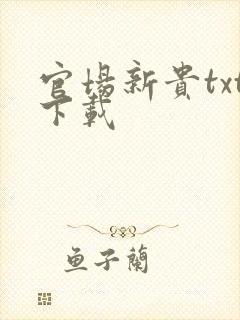 官场新贵txt下载