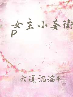 女主小妾卫府NP