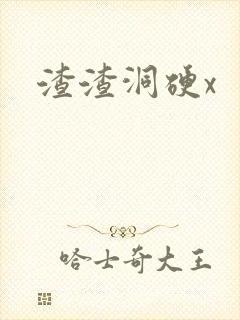 渣渣洞硬x