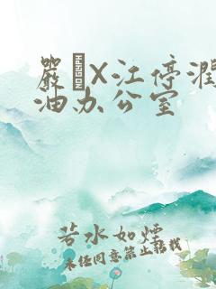 严峫X江停润滑油办公室