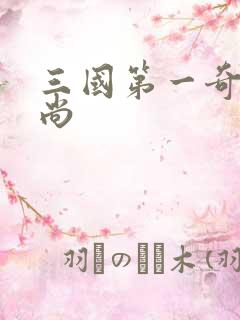 三国第一奇兵袁尚