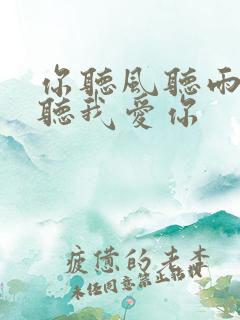 你听风听雨却不听我爱你