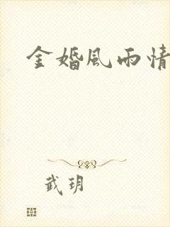 金婚风雨情下载