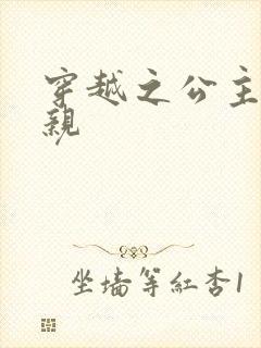 穿越之公主要娶亲