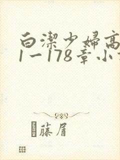 白洁少妇高义第1一178章小说