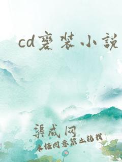 cd变装小说