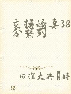 交换娇妻38部分系列