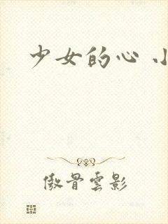 少女的心 小说