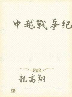 中越战争纪实录