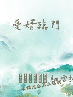 爱婿临门