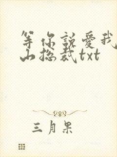 等你说爱我之冰山总裁txt