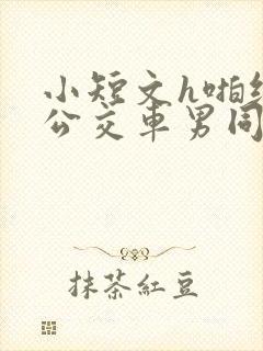 小短文h啪纯肉公交车男同