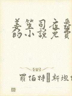 姜笙司夜爵顾念的小说免费阅读