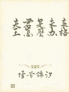 夫君是未来大魔王怎么办格格党