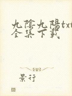 九阴九阳txt全集下载