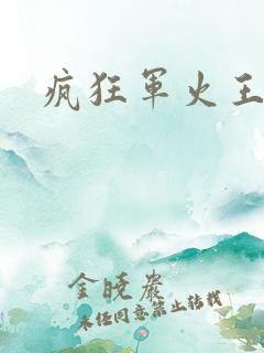疯狂军火王