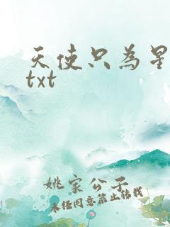 天使只为星夜哭txt
